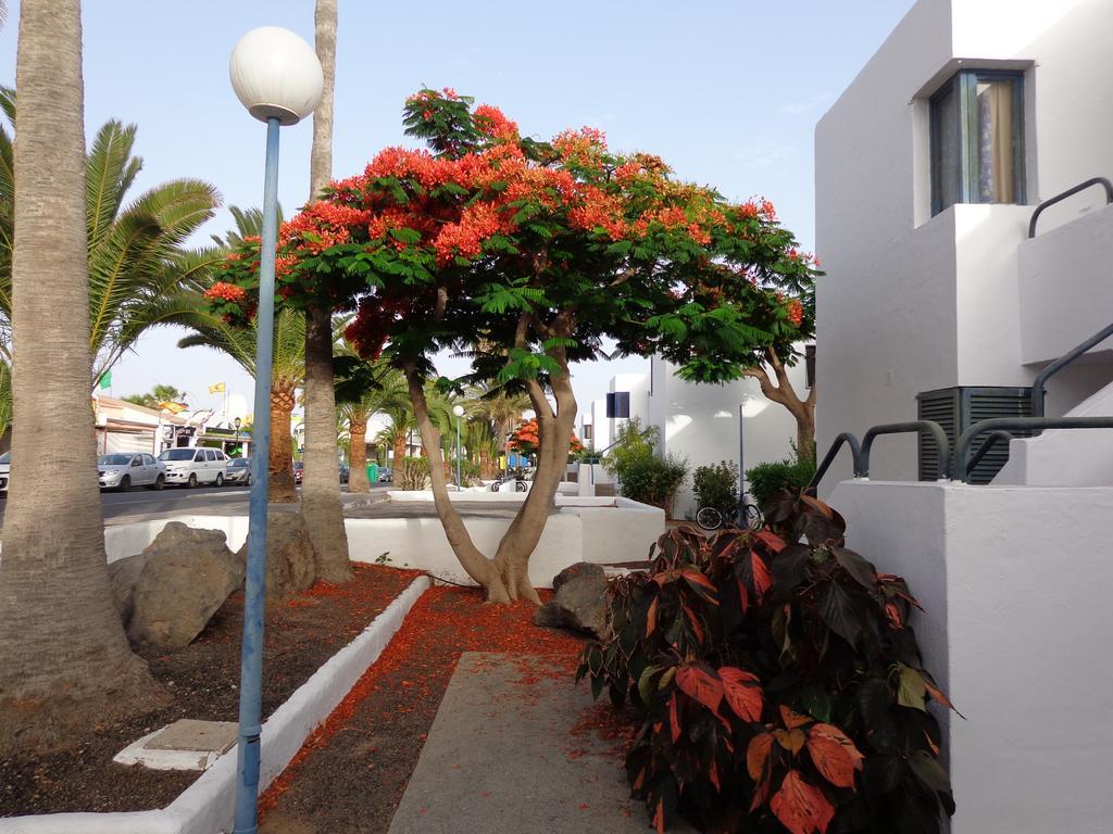 Pensión Residencial Centro Playa *